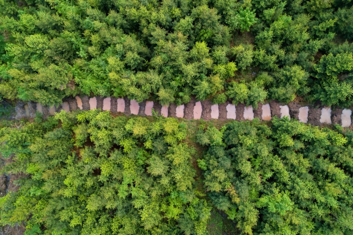 Voda pro lesy – reportáž z Beskyd a Košic