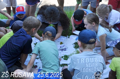 NAHLED 03 ZS RUSAVA BYLINKOVA CAJOVNA 25-6-2025