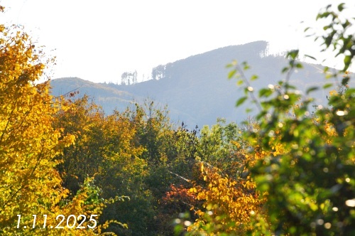 02 NAHLED RUSAVA 11-2025