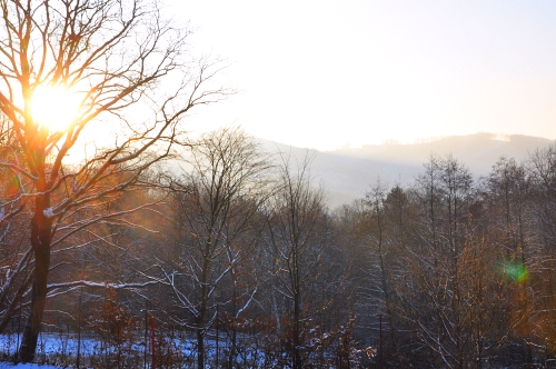 005 – NAHLED MAGDA KREPELKOVA 2-2026